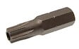 ACTON - Embout Torx T25x25mm - ACTON - 3604525 - vignette