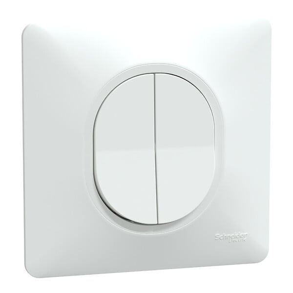 SCHNEIDER ELECTRIC - Ovalis - Monobloc - Double va et vient - 10AX - Blanc - large