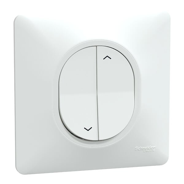 SCHNEIDER ELECTRIC - Ovalis - Monobloc - Interrupteur 2 boutons pour volet roulant- 6AX - B - large