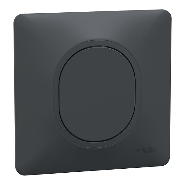 SCHNEIDER ELECTRIC - Ovalis - Obturateur - Monobloc - Anthracite - large