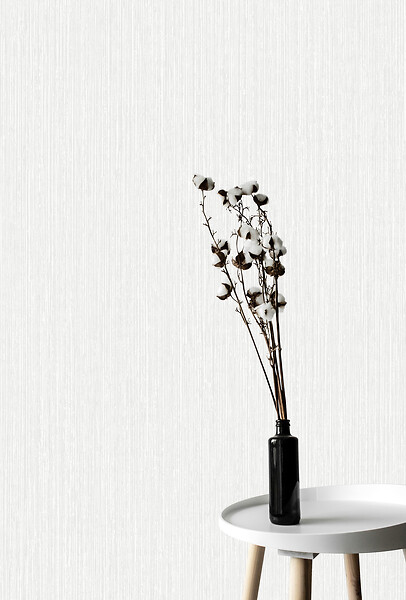 GRANDECO - Papier peint expansé intissé Calcutta - Blanc - large