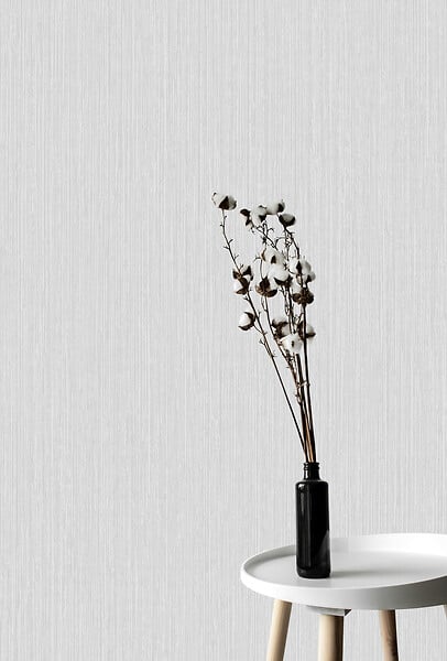 GRANDECO - Papier peint expansé intissé Calcutta - Gris clair - large
