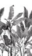 GRANDECO - Papier peint panoramique Graphic Palms - H.280xl.159cm - vignette