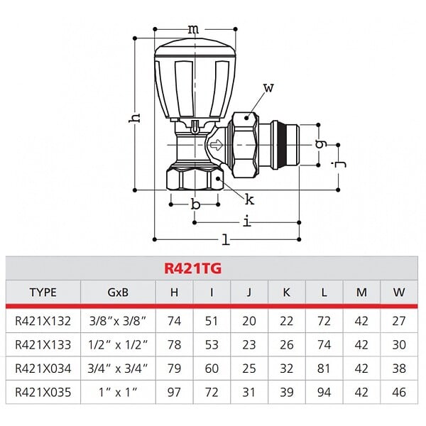 GIACOMINI - Robinet thermostatisable équerre série fer Giacomini R421TG - large