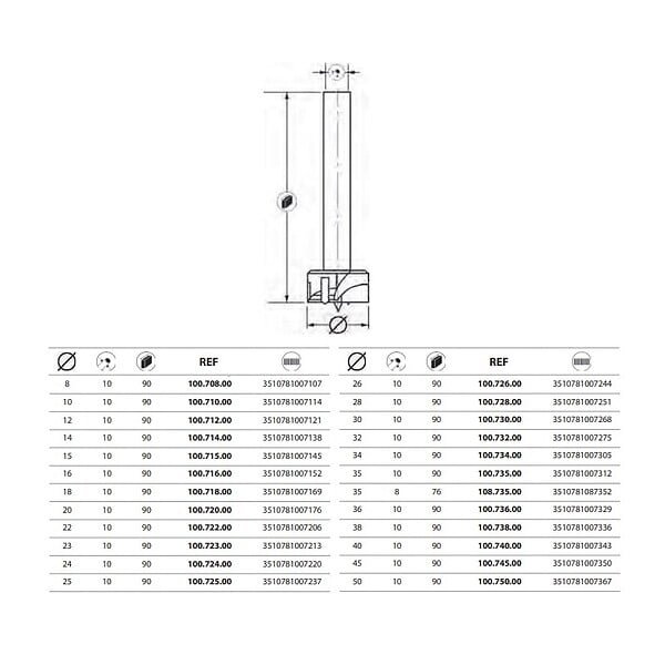 LEMAN - Mèche à  façonner au carbure à  fond plat Leman PRS00100 - large
