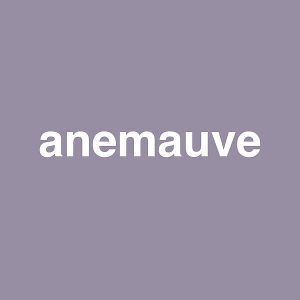 NUANCE - Peinture MonoCrème - Anemauve - Mat - 0,5L - large