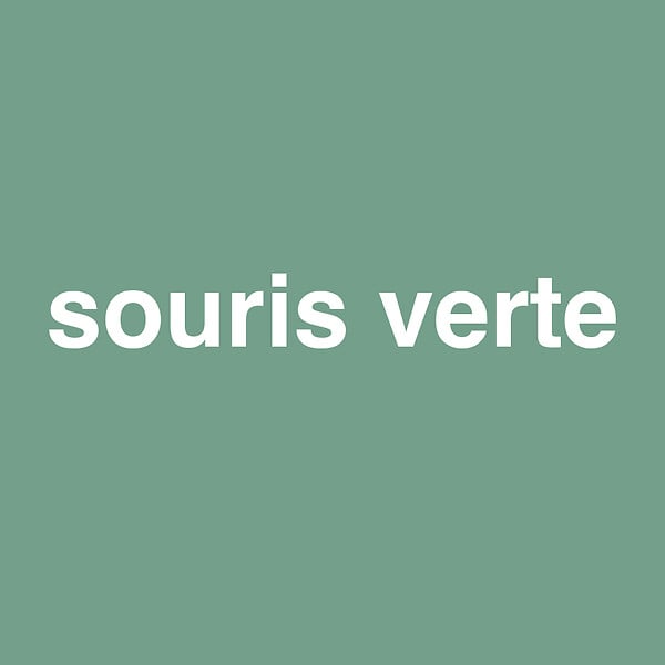 NUANCE - Peinture MonoCrème - Souris verte - Mat - 0,5L - large
