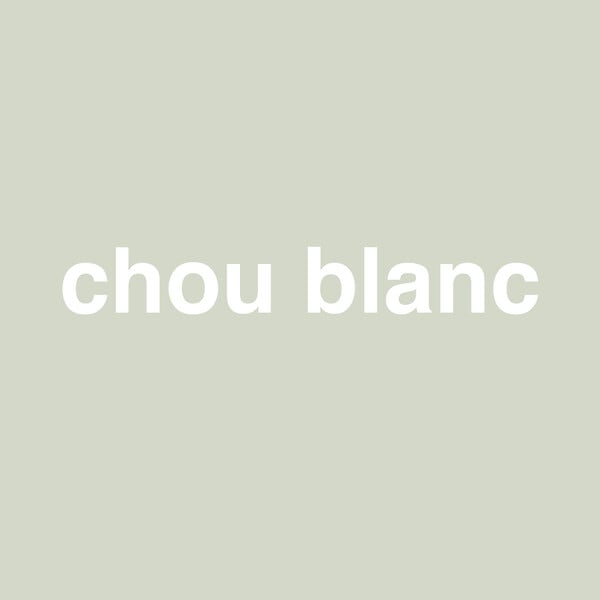 NUANCE - Peinture MonoCrème - Chou Blanc - Satin - 0,5L - large