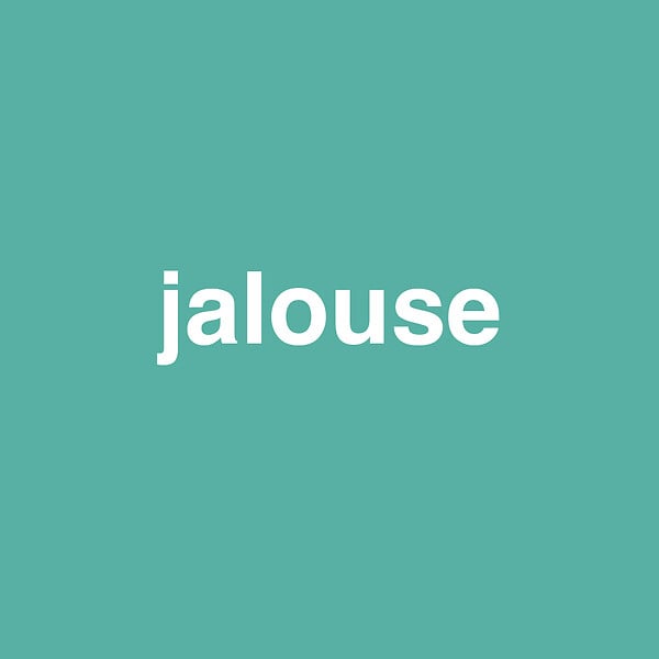 NUANCE - Peinture MonoCrème - Jalouse - Satin - 0,5L - large