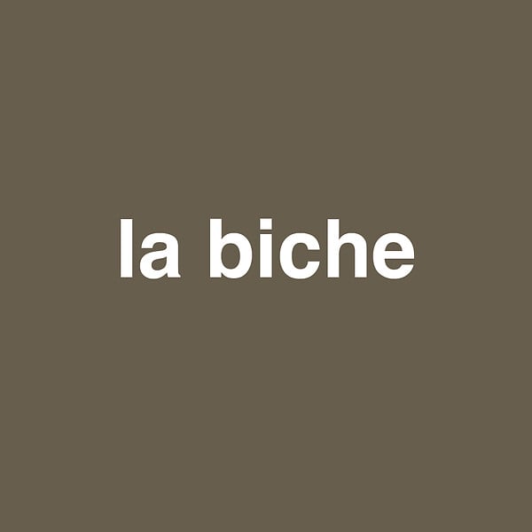 NUANCE - Peinture bicouche - La biche - Satin - 0,5L - large