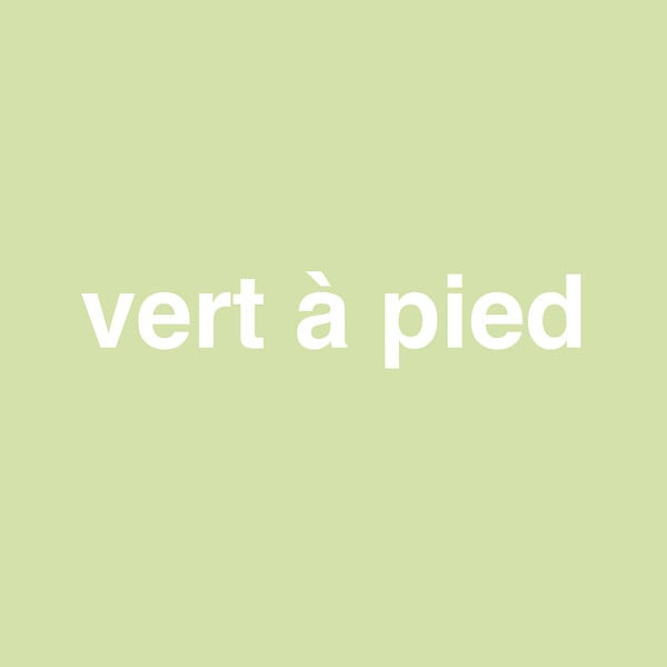 NUANCE - Peinture bicouche - Vert à pied - Satin - 0,5L - large