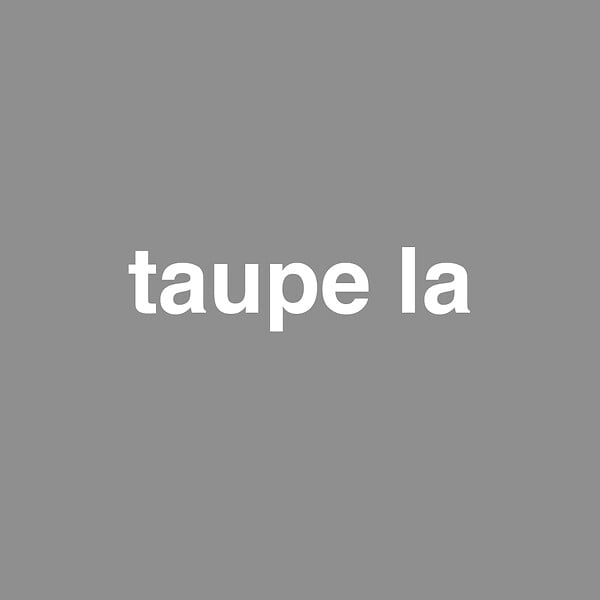 NUANCE - Peinture bicouche - Taupe la - Satin - 2,5L - large