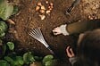 FISKARS - Râteau de jardin en acier inoxydable - 7 dents - vignette