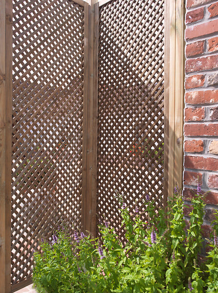 CERLAND - Treillis CLEMATITE PIN 600x1800 mm - large