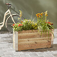 CERLAND - Bac BAMBOU PIN 1000x300x505 mm - vignette