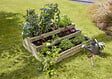 CERLAND - Carré potager bois pin sylvestre HORIZON ANGELIC vert 209 L - vignette