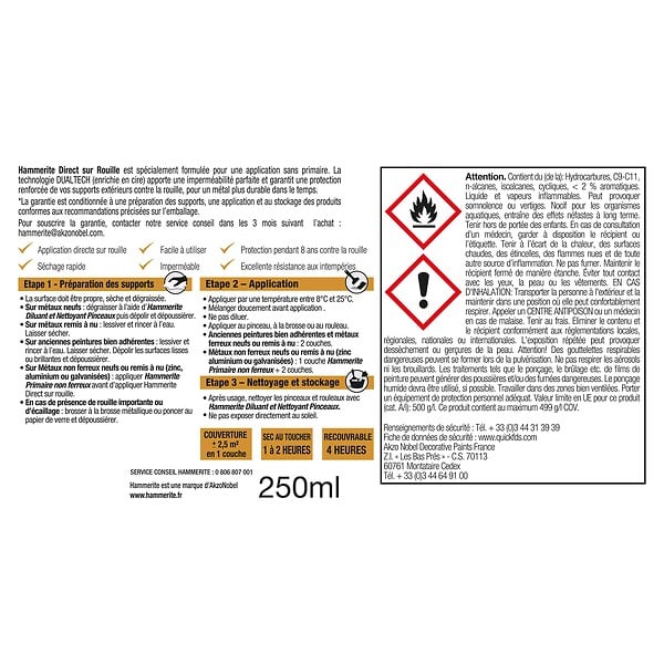 HAMMERITE - Peinture fer Direct sur Rouille - Brillant Argent - 0,25 L - large