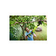 RYOBI - Pack RYOBI Coupe-branches OLP1832BX - 18V One+ - 1 Batterie 2.0Ah - 1 Chargeur rapide - vignette