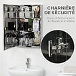 KLEANKIN - Armoire miroir murale salle de bain toilette dim. 39L x 12l x 60H cm acier inox. verre - vignette