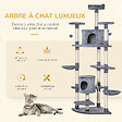 PAWHUT - Arbre à chat multi-équipement griffoirs 2 niches 2 hamacs plateformes boules suspendues corde peluche grise - vignette