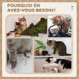 PAWHUT - Arbre à chat griffoir sisal naturel 2 plateforme panier observation jeu boule suspendue peluche beige - vignette