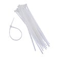 NATURE - Collier de fixation nylon transparent 15cm - lot de 25 - vignette
