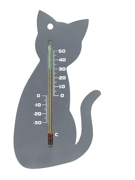 NATURE - Thermomètre mural extérieur - Chat gris plastique - 15cm - large