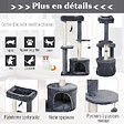 PAWHUT - Arbre à chats avec griffoirs grattoirs sisal naturel centre d'activités niche plateformes 2 jouets suspendus gris - vignette