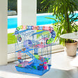 PAWHUT - Cage pour Hamster Souris Petit Animaux Rongeur avec Tunnel Mangeoire Roue Jouet 47 x 30 x 59 cm cm Bleu - vignette