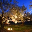 LUMISKY - Guirlande solaire YOGY WARM 200 LED 16.3M - vignette