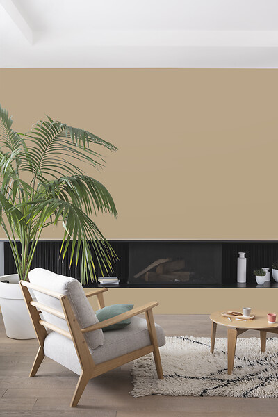 V33 PEINTURE - Peinture velours Colorissim - Beige liège - 2 L - large