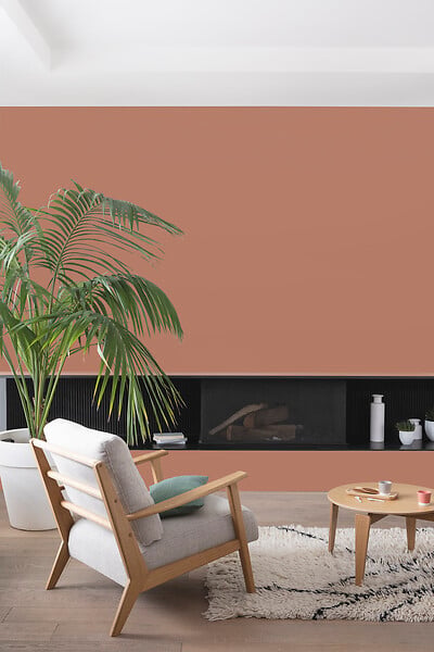 V33 PEINTURE - Peinture Colorissim Velours roux écureuil 2 L - large