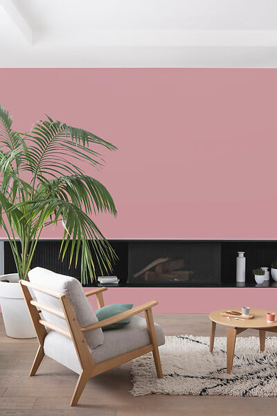 V33 PEINTURE - Peinture Colorissim Velours argile rose 2 L - large