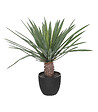 ATMOSPHERA - Plante artificielle Palmier  en pot H 52 cm - vignette