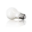 XANLITE - Lot de 2 ampoules Filament LED opaques, culot E27, forme A60, puissance équivalente 60W, flux 806 lm, lumière blanc neutre 4000 K - vignette