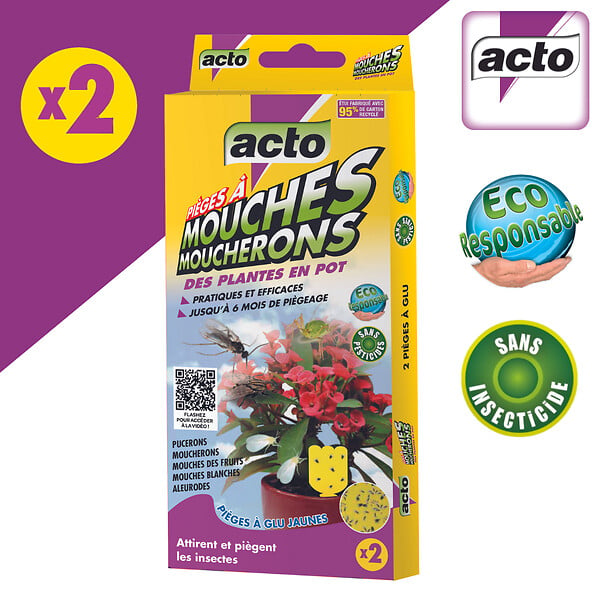 ACTO - Piège à glu pour plantes - Jaune - Sans insecticide - large