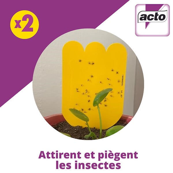 ACTO - Piège à glu pour plantes - Jaune - Sans insecticide - large