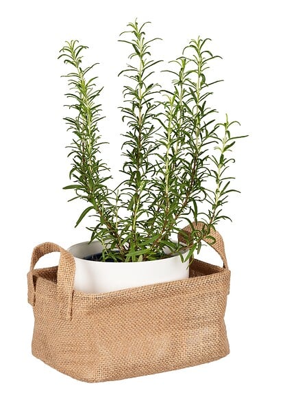 WENKO - Panier de rangement Juna, S - large