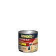 BONDEX - Vernis 2en1 Incolore Brillant - Bois - 0,25 L - vignette