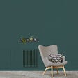 RIPOLIN - Peinture mate échantillon Vert Armerie - 0.075 L - vignette
