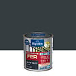 RIPOLIN - Peinture fer extérieur Ripolin Extrême Gris Anthracite 0,25L - vignette
