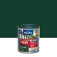 RIPOLIN - Ripolin ext fer bril vt basq 0.25l - vignette