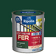 RIPOLIN - Ripolin ext fer bril vt basque 2l - vignette