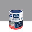 RIPOLIN - Peinture étanche terrasse - DIP étanch® - Gris - 0,75 L - vignette