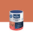 RIPOLIN - Etancheite anti-infiltration toiture Terre cuite 0.75l - vignette