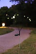 GALIX - Déco solaire bouquet 8 LED - H.690xL.115xP.73mm - vignette