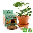 RADIS ET C - Kit de jardinage - Terre cuite - Plante gourmande Cacahuète - vignette