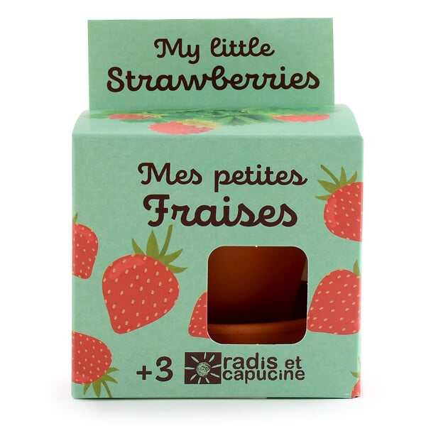 RADIS ET C - Kit plantation Fraisier - Terre cuite - Biologique - large