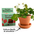 RADIS ET C - Kit plantation Fraisier - Terre cuite - Biologique - vignette