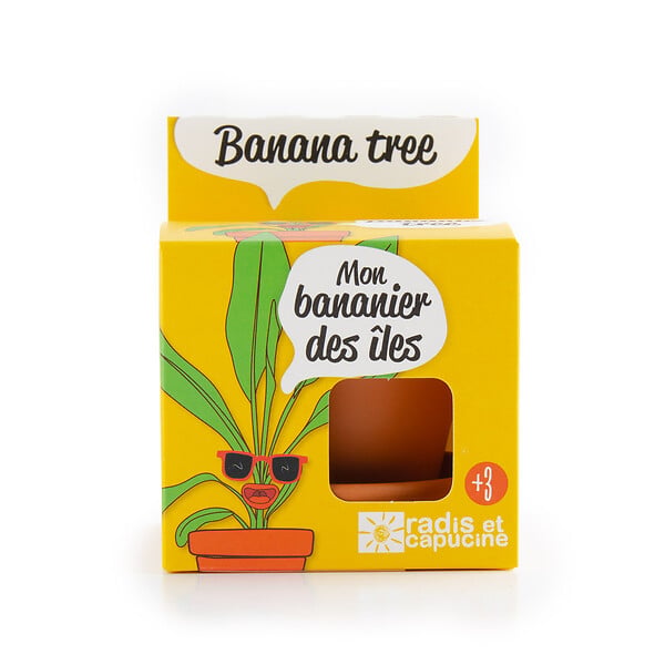 RADIS ET C - Bananier Kit de culture - Terre cuite - 8cm - large